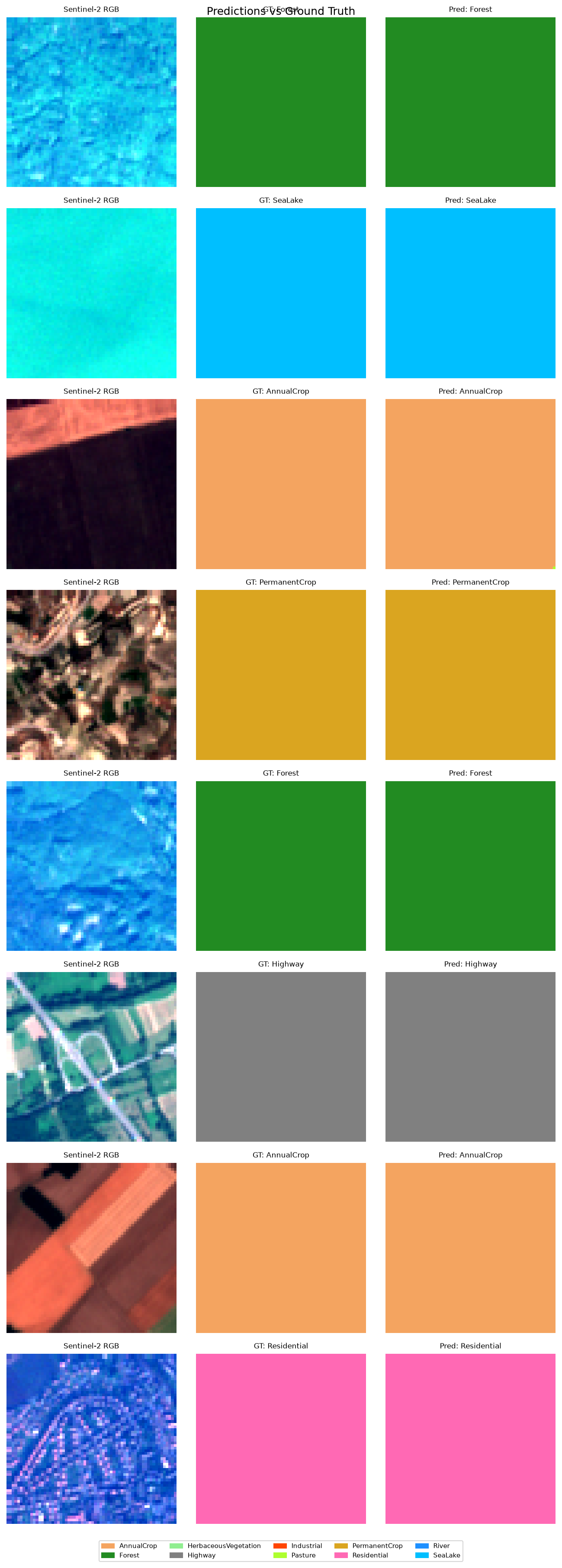 Predicted segmentation masks versus ground truth